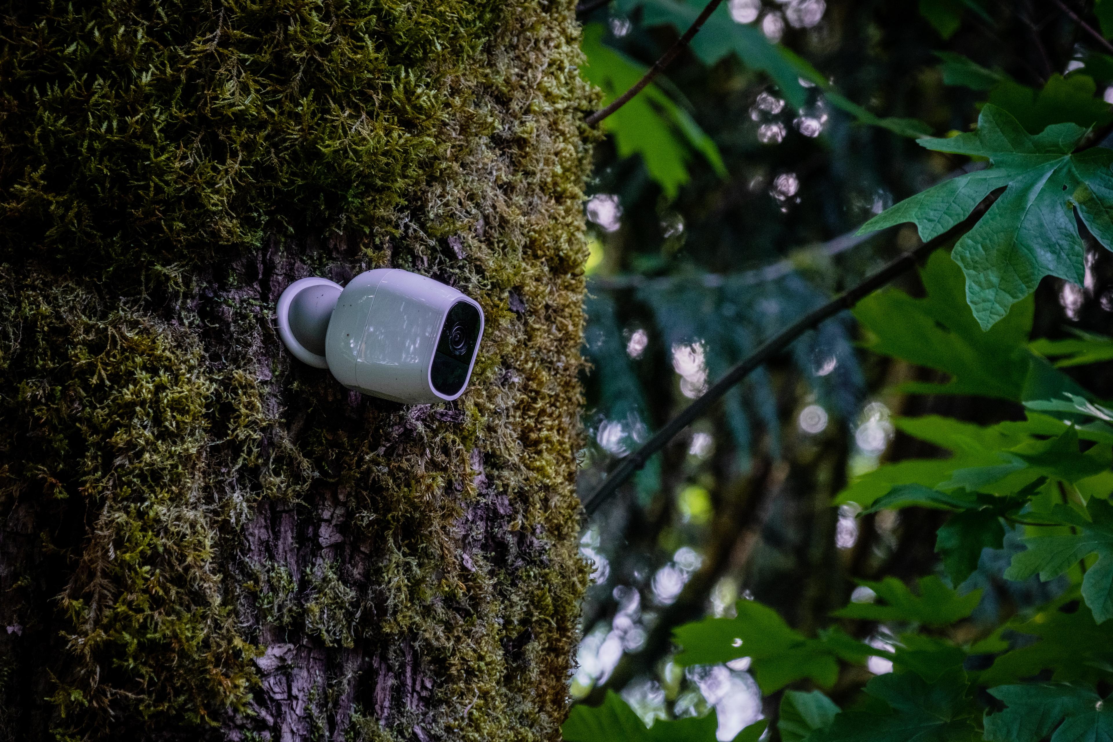 Illuminate Your Security with Arlo Pro 3 Floodlight Camera