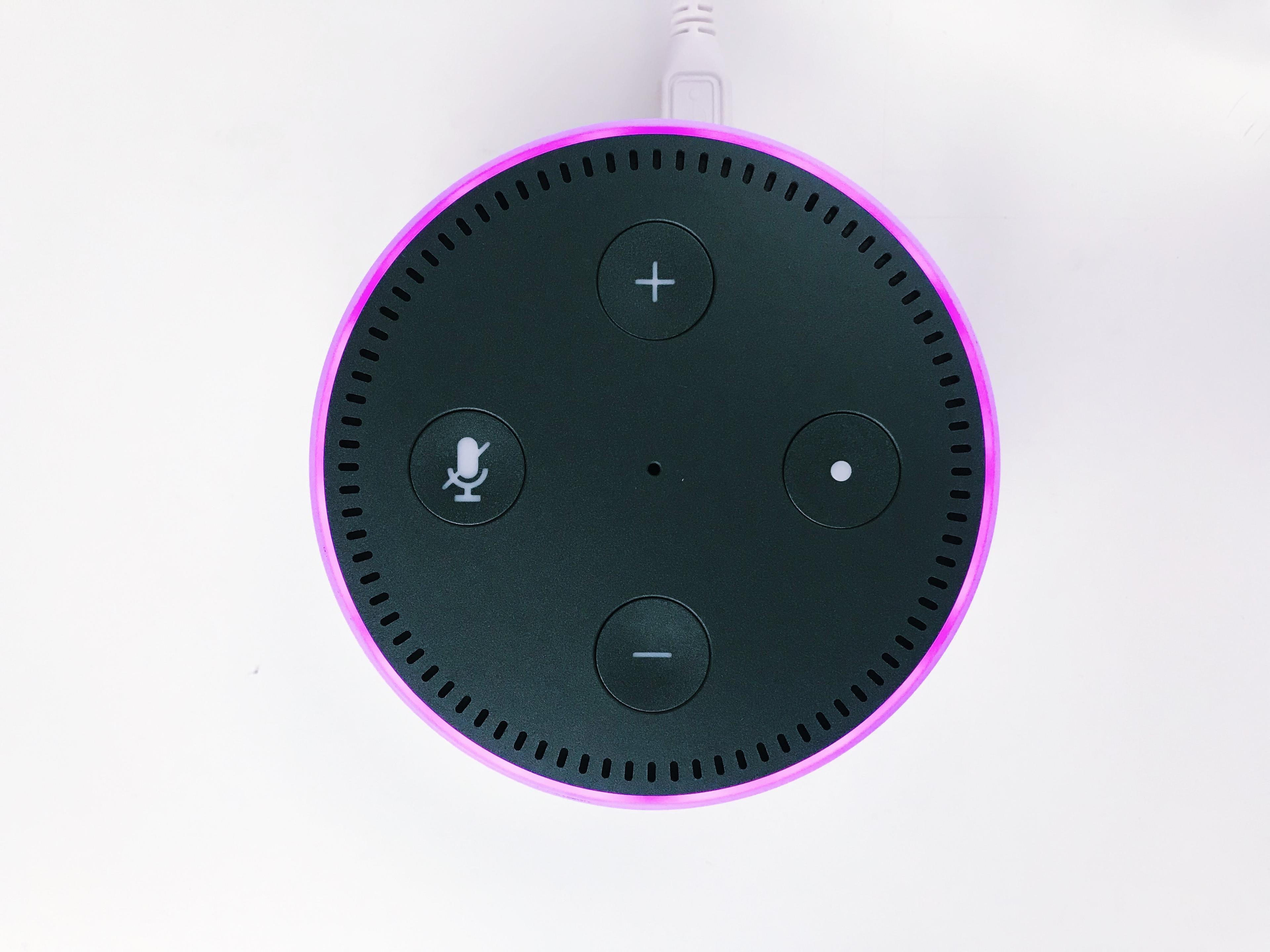 Best Voice Assistant for 2024